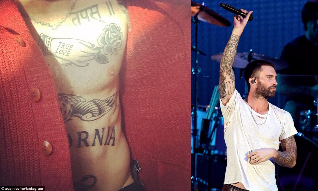 An Exhaustive Taxonomy of Adam Levine's Tattoos