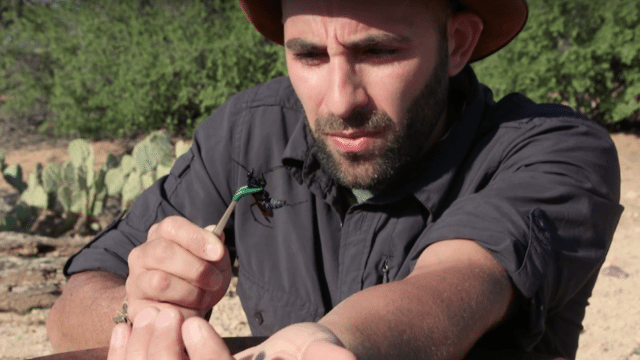 Coyote Peterson's wiki