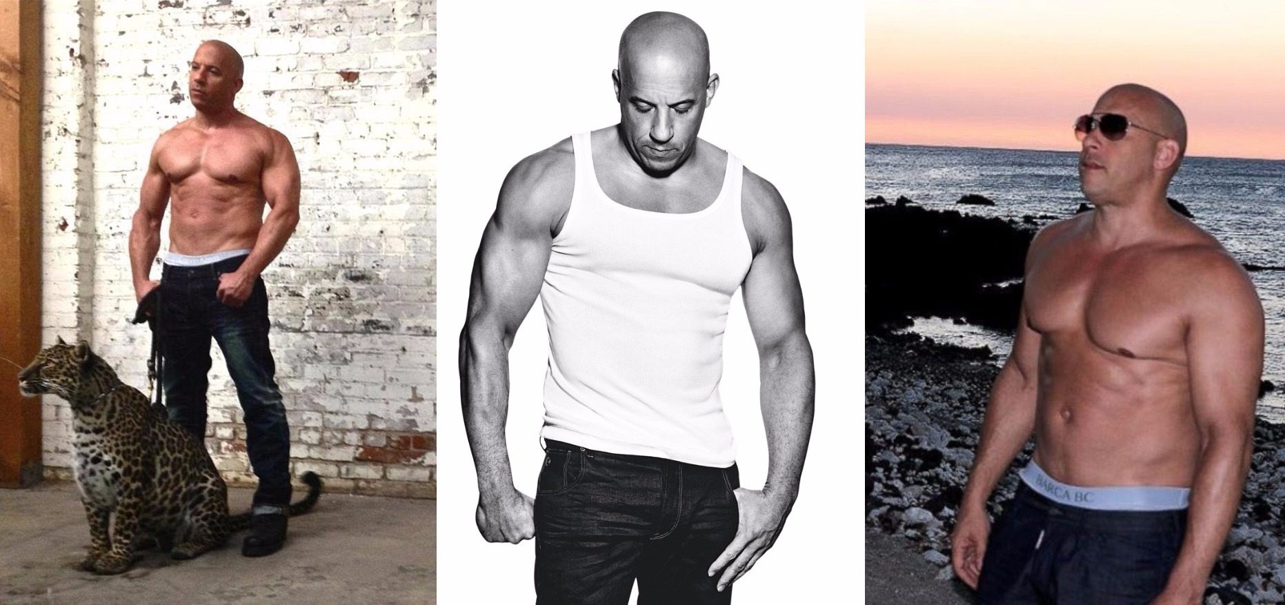 Vin Diesel Real Height: Vin Diesel Used Lifts to Look Tall Against Dwayne  Johnson in Fast and Furious? - Sportsmanor