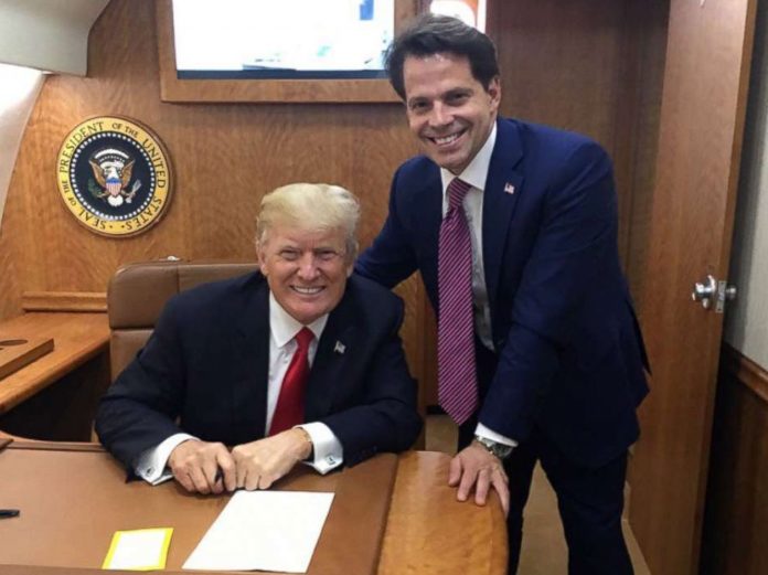 Anthony Scaramucci Bio: Family And Grievances With Donald Trump