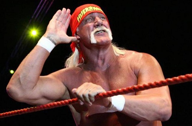Famous WWE wrester hulk hogan wrestler