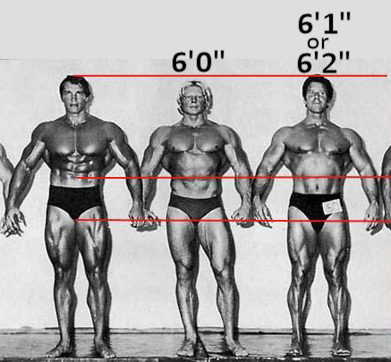 Reg Park és Arnold Schwarzenegger